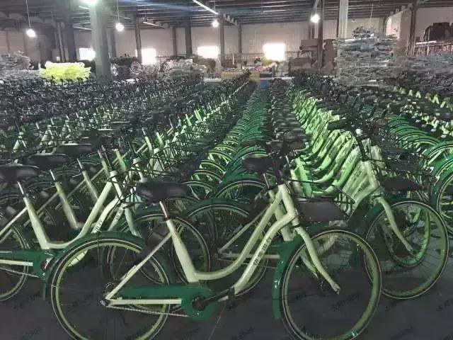 探訪王慶坨 “共享單車可把這兒害慘了”